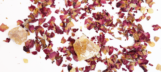 The Science of Plants: What is Herbal medicine