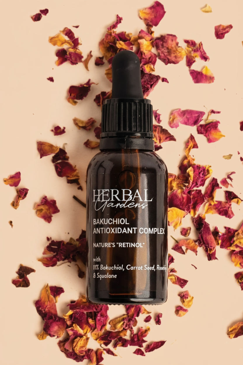 Summary Section image