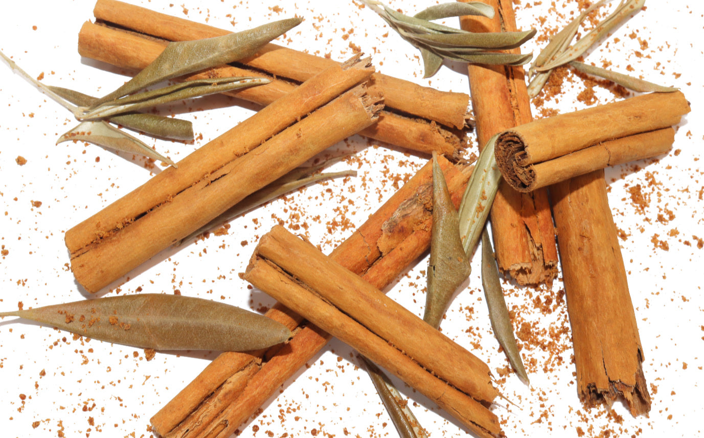 Summary Section image