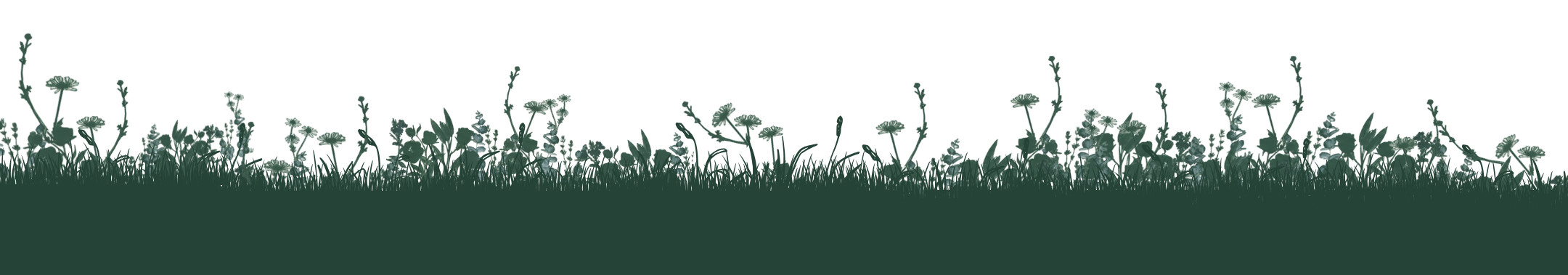 herbalist driven skin care products, 100% natural